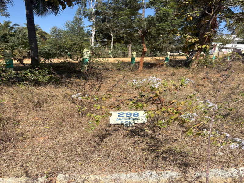 Additional image 3 of Bagepalli, Bangalore