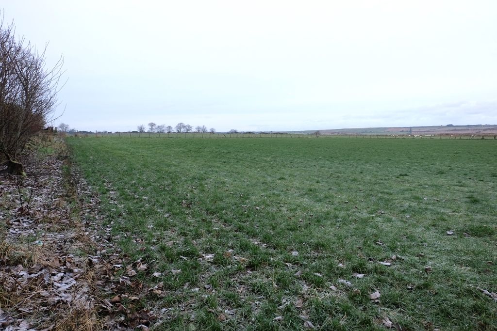 Land for saleWatten Development, Watten. KW1 photo 4