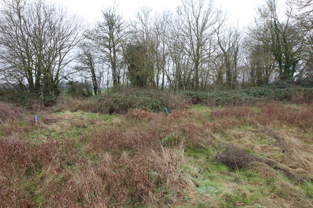 Land for saleHigh Roding, Dunmow CM6 photo 3