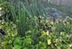 Additional image 12 of Bryn Steffan, Lampeter, SA48