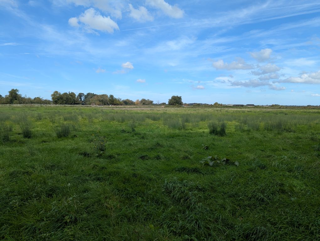 Land for saleSandwich Road, Hacklinge CT14 photo 2