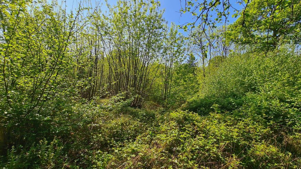 Additional image 5 of Land for saleFarley Heath, Albury, Guildford GU5