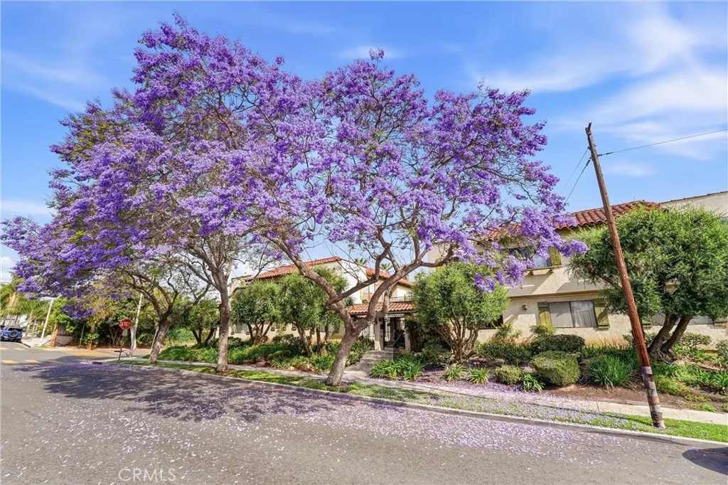 Additional image 105 of 800 Termino Avenue Unit 5, Long Beach, CA 90804