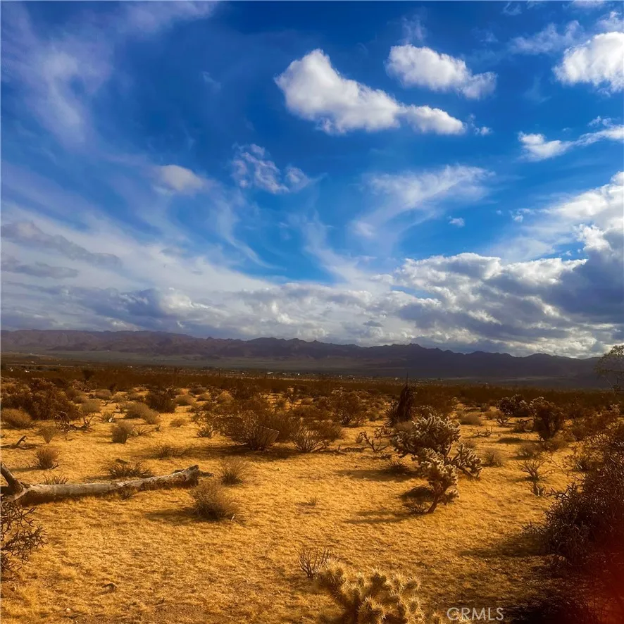Additional image 57 of Appian Way, Joshua Tree, CA 92252