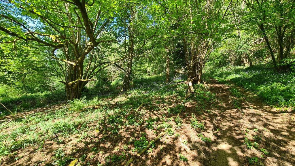 Additional image 3 of Land for saleFarley Heath, Albury, Guildford GU5