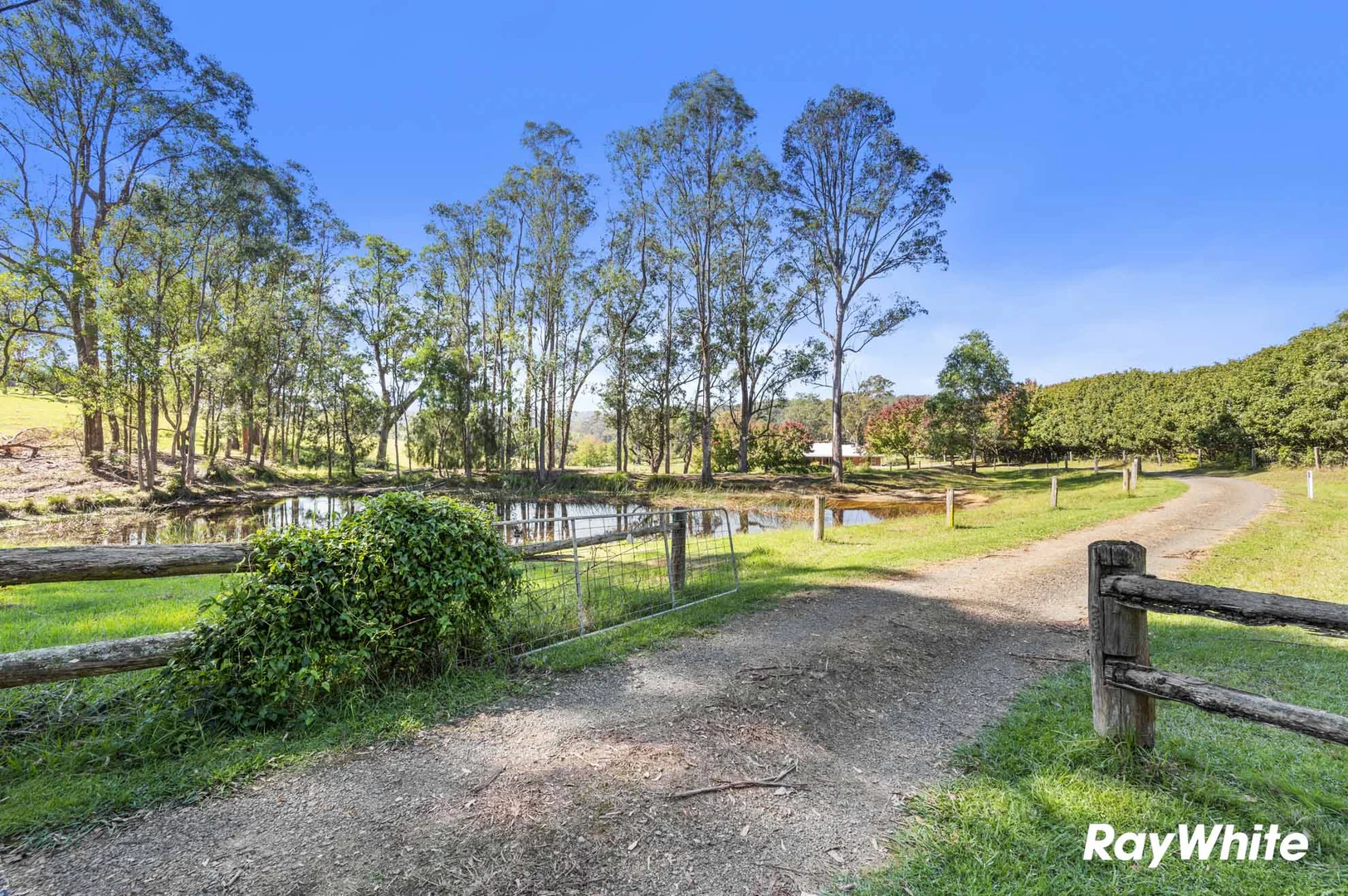 Additional image 18 of 233 Wamban Road, Moruya NSW 2537
