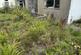 Additional image 6 of Gwilym Road, Cwmllynfell, Swansea.