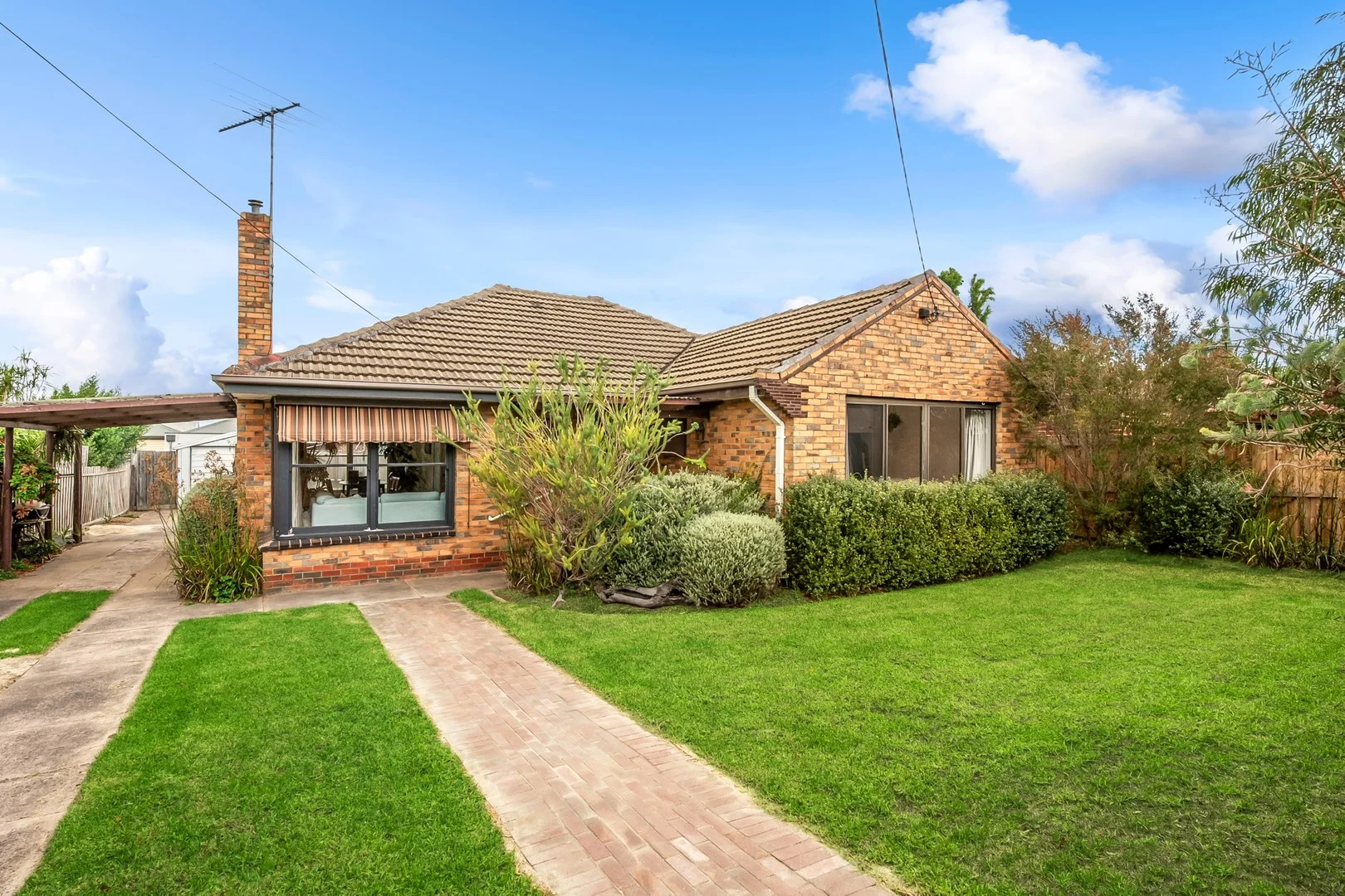 41 Francis Street, Belmont VIC 3216