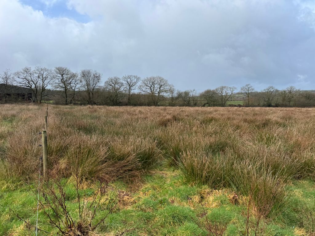 Additional image 3 of Land for saleCookbury, Holsworthy EX22