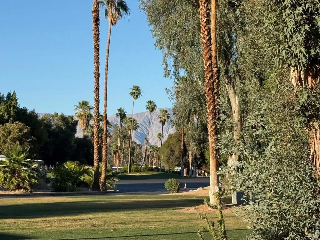 Additional image 18 of 1010 Palm Canyon Drive Unit 82, Borrego Springs, CA 92004