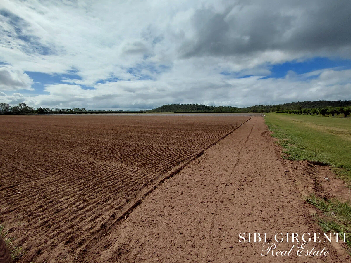 Additional image 2 of 262 Gilmore Road, Mareeba QLD 4880
