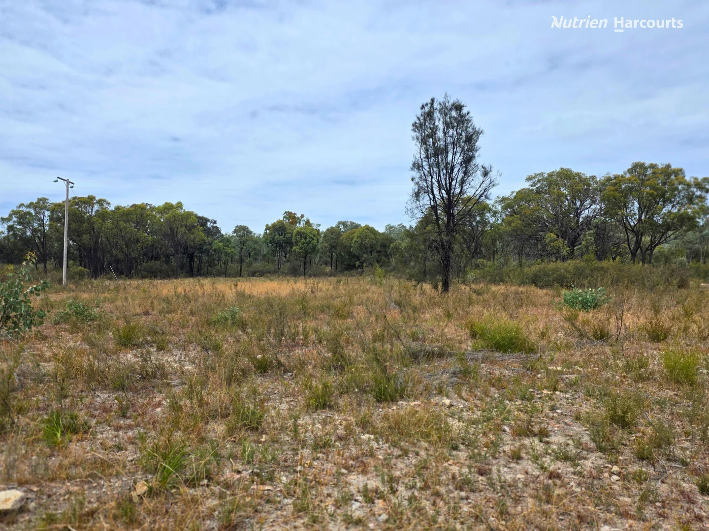 Additional image 24 of 296 Gulf Road, Emmaville NSW 2371