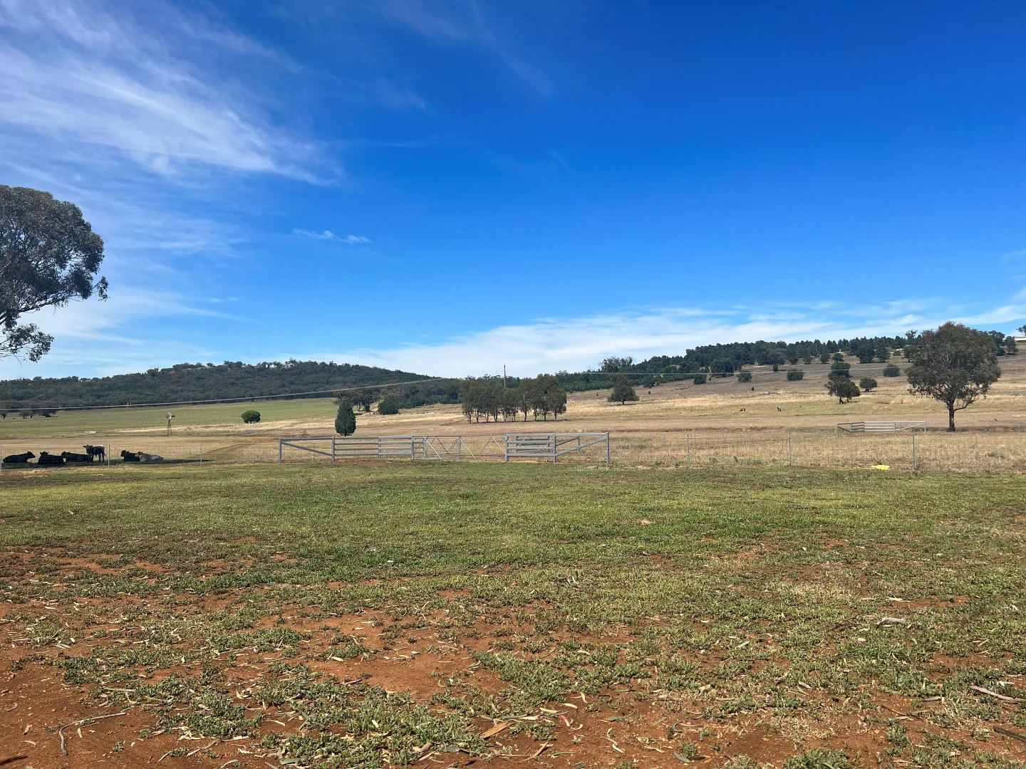 Additional image 17 of 160 TWIGGS ROAD, Maryvale NSW 2820