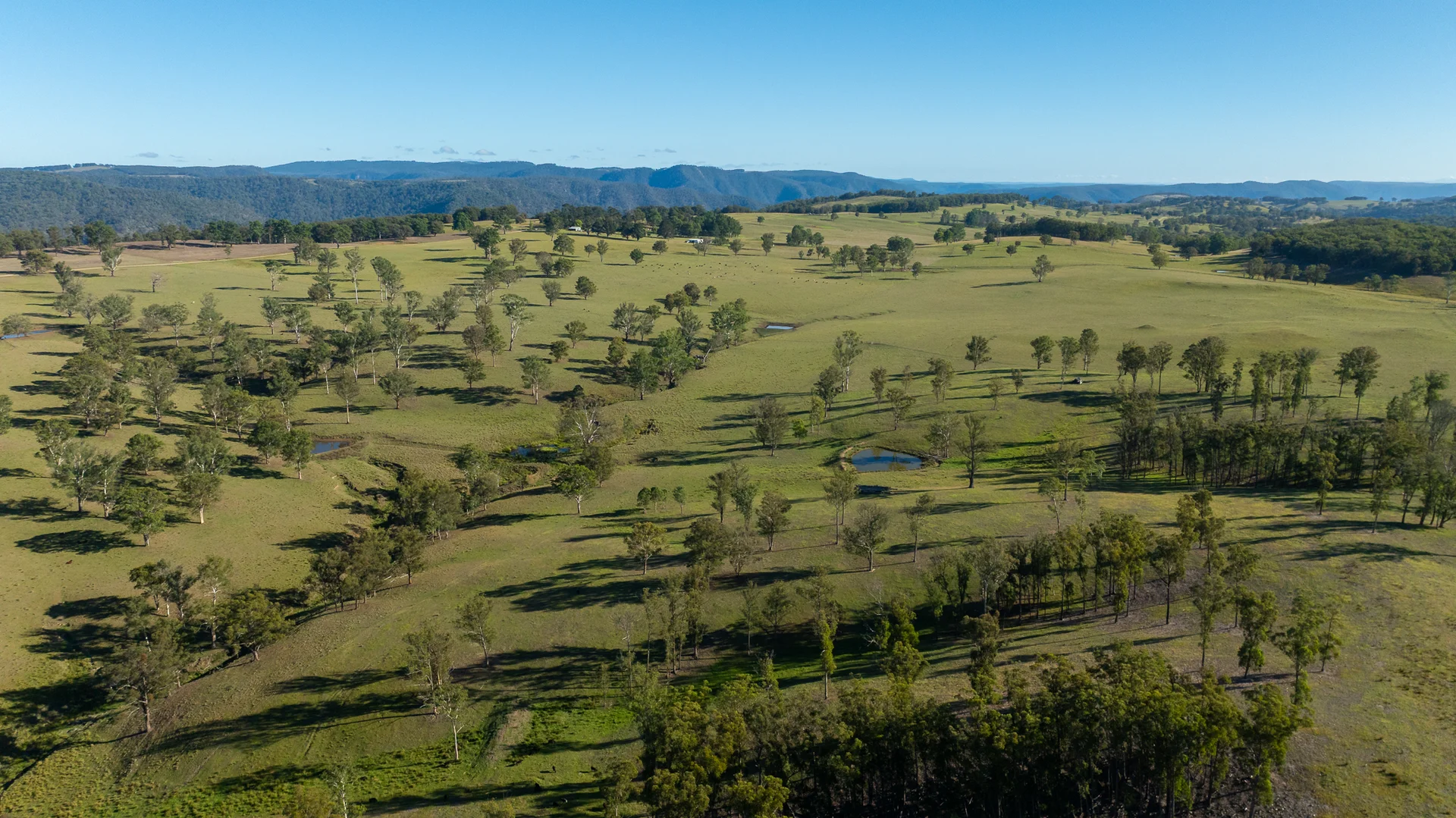Additional image 34 of 700 Oaklands Road Yarrowitch Valley Via, Walcha NSW 2354