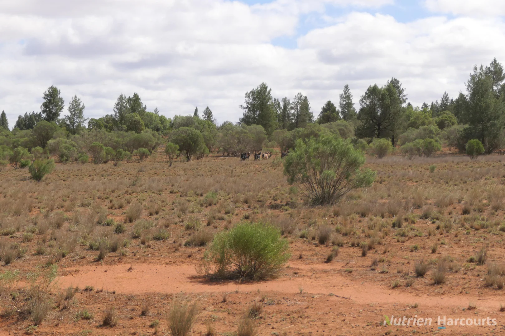 27 Singleton Drive, Cobar NSW 2835 photo 2