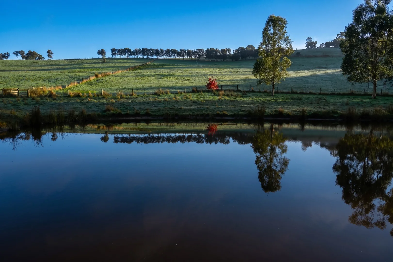 Additional image 31 of 29 Adam View Court, Tanjil South VIC 3825