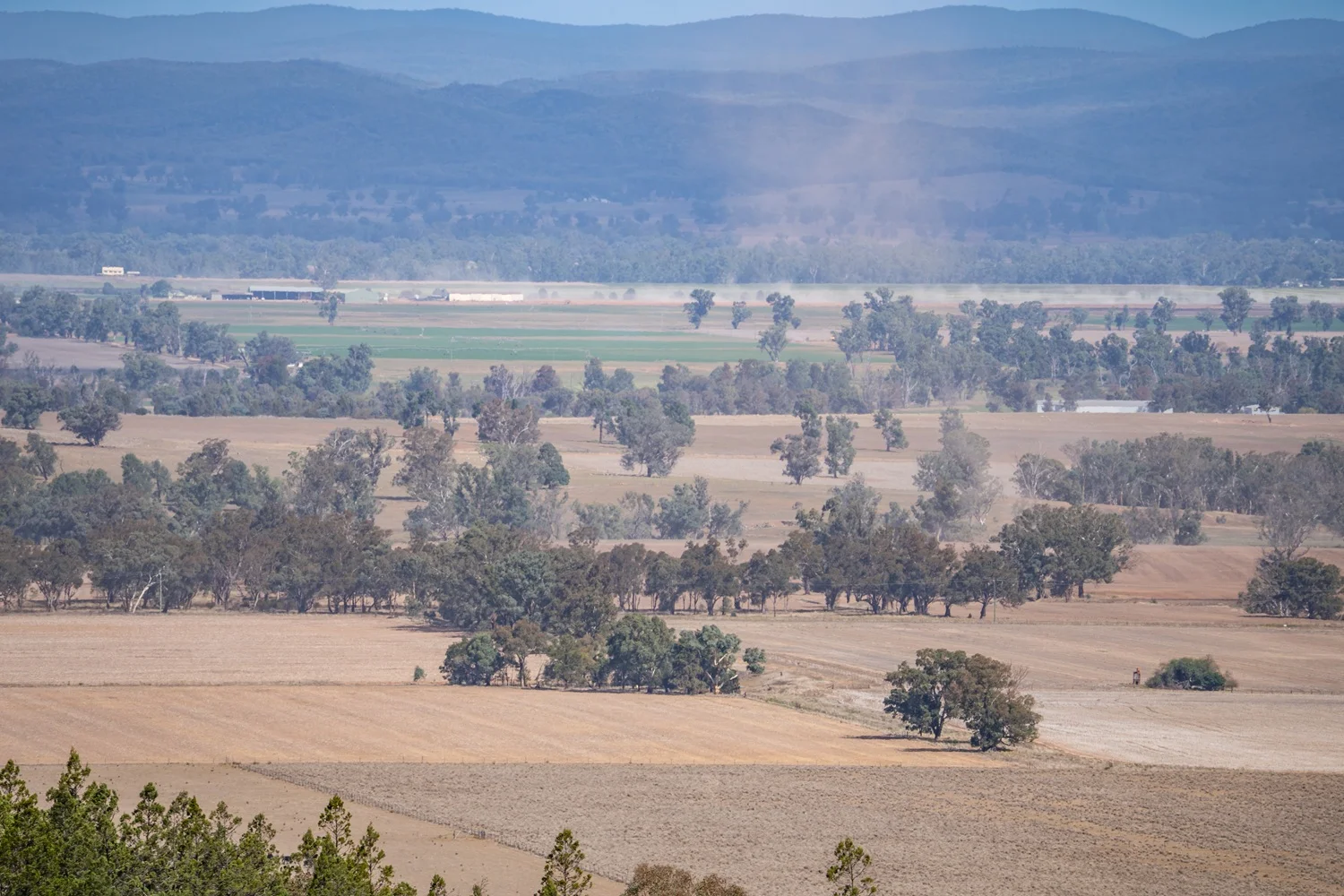 Additional image 27 of 3705 Nanami Lane, Canowindra NSW 2804
