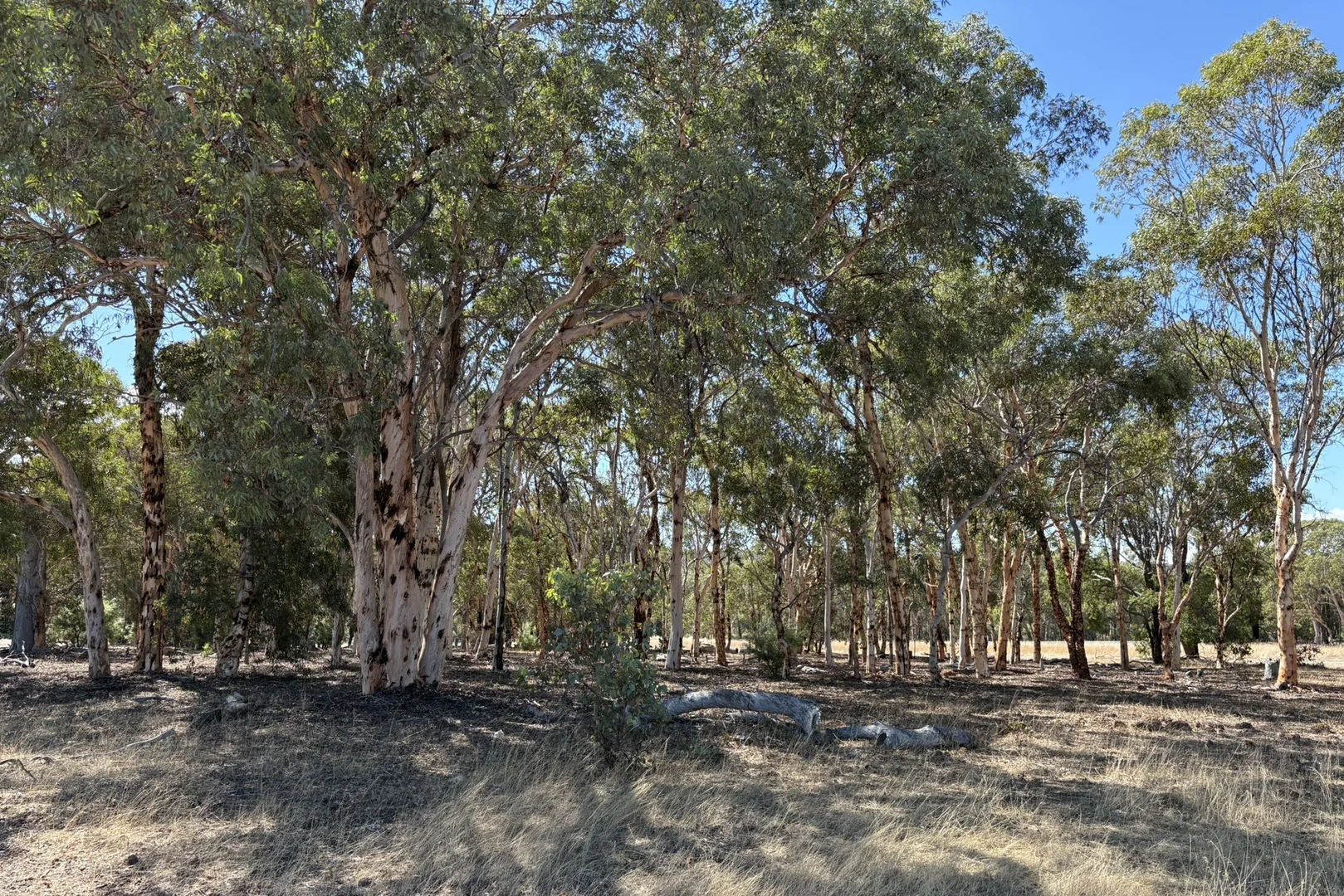 Additional image 3 of Lot 46 Endeavour Estate - Bindoon, Bindoon WA 6502