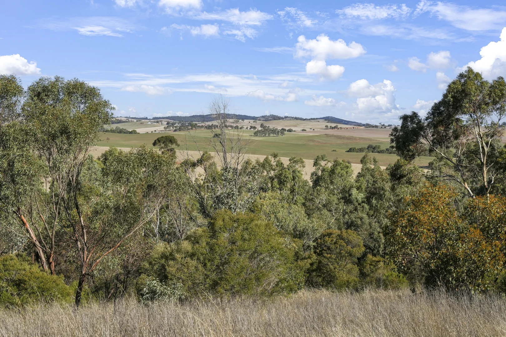 Additional image 12 of 42 Klemm Road, Kapunda SA 5373