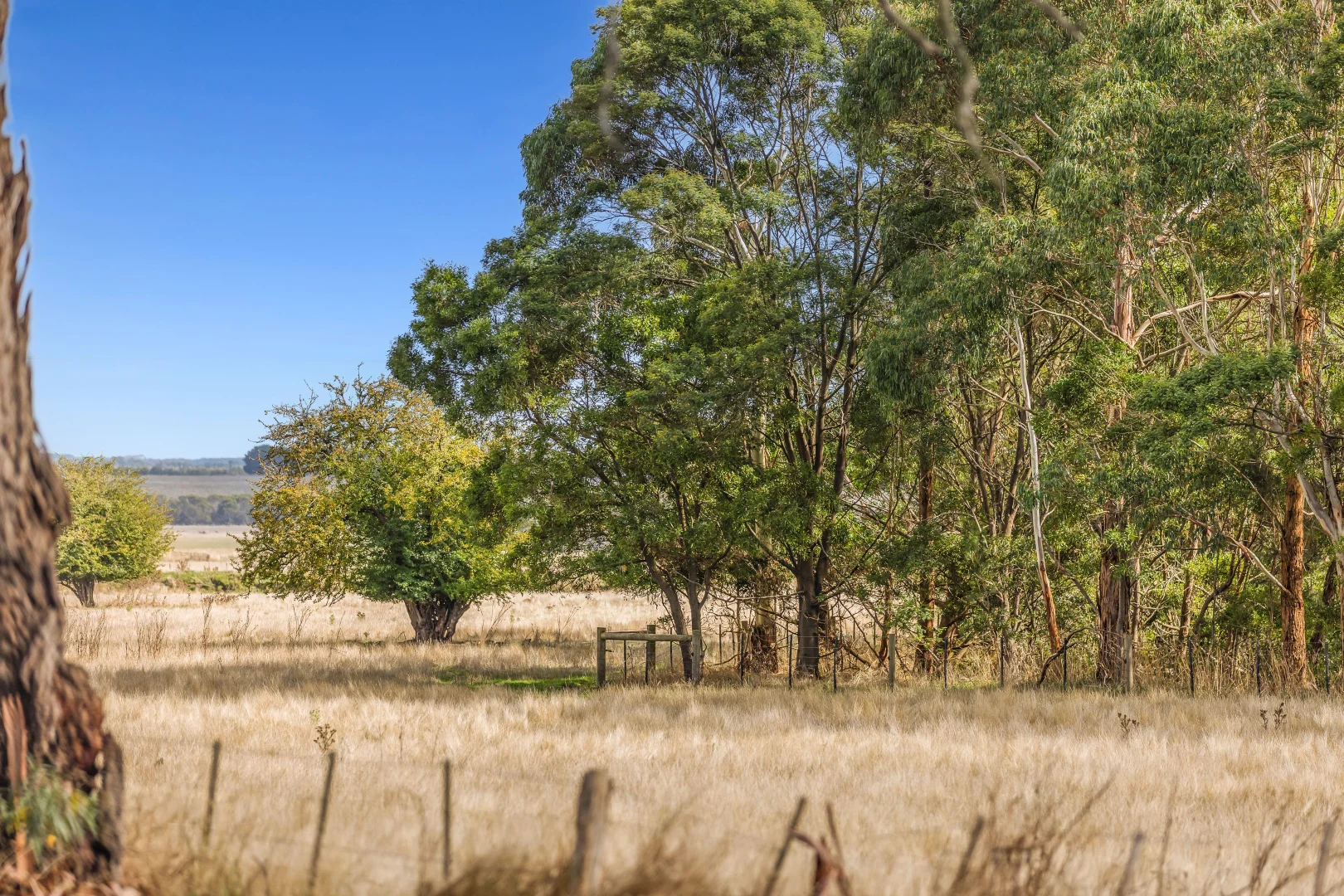 Additional image 5 of 30 Gannons Road, Pennyroyal VIC 3235