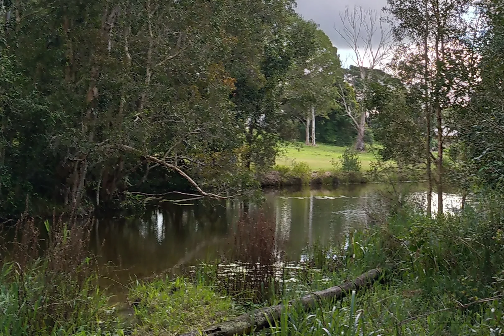 Additional image 9 of 500 McConnell Road, Bracalba QLD 4512