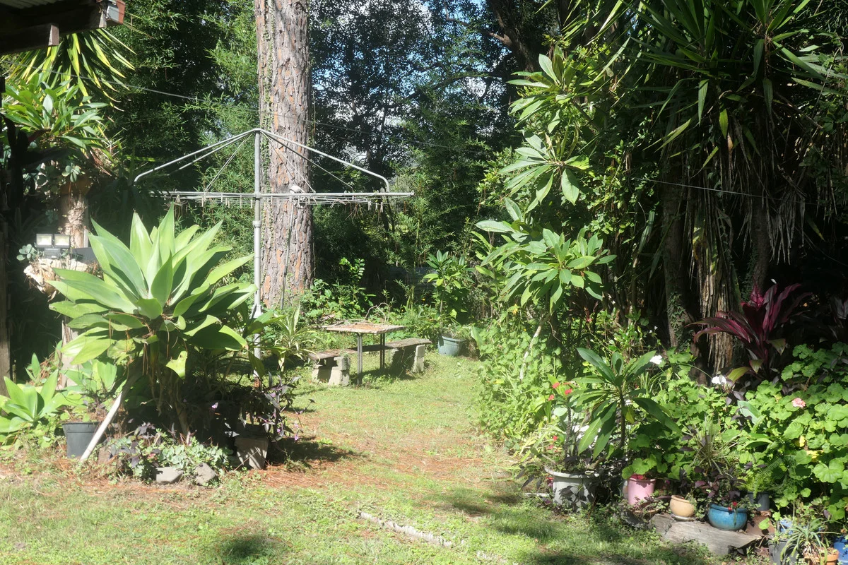 Additional image 17 of 18 Clarence Street, Bonalbo NSW 2469
