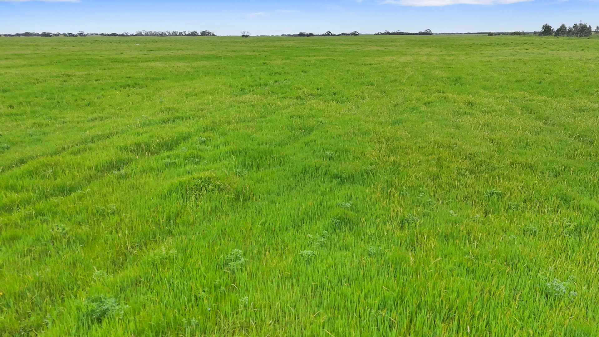 Additional image 3 of 1412 Red Bluff Road, Bordertown SA 5268