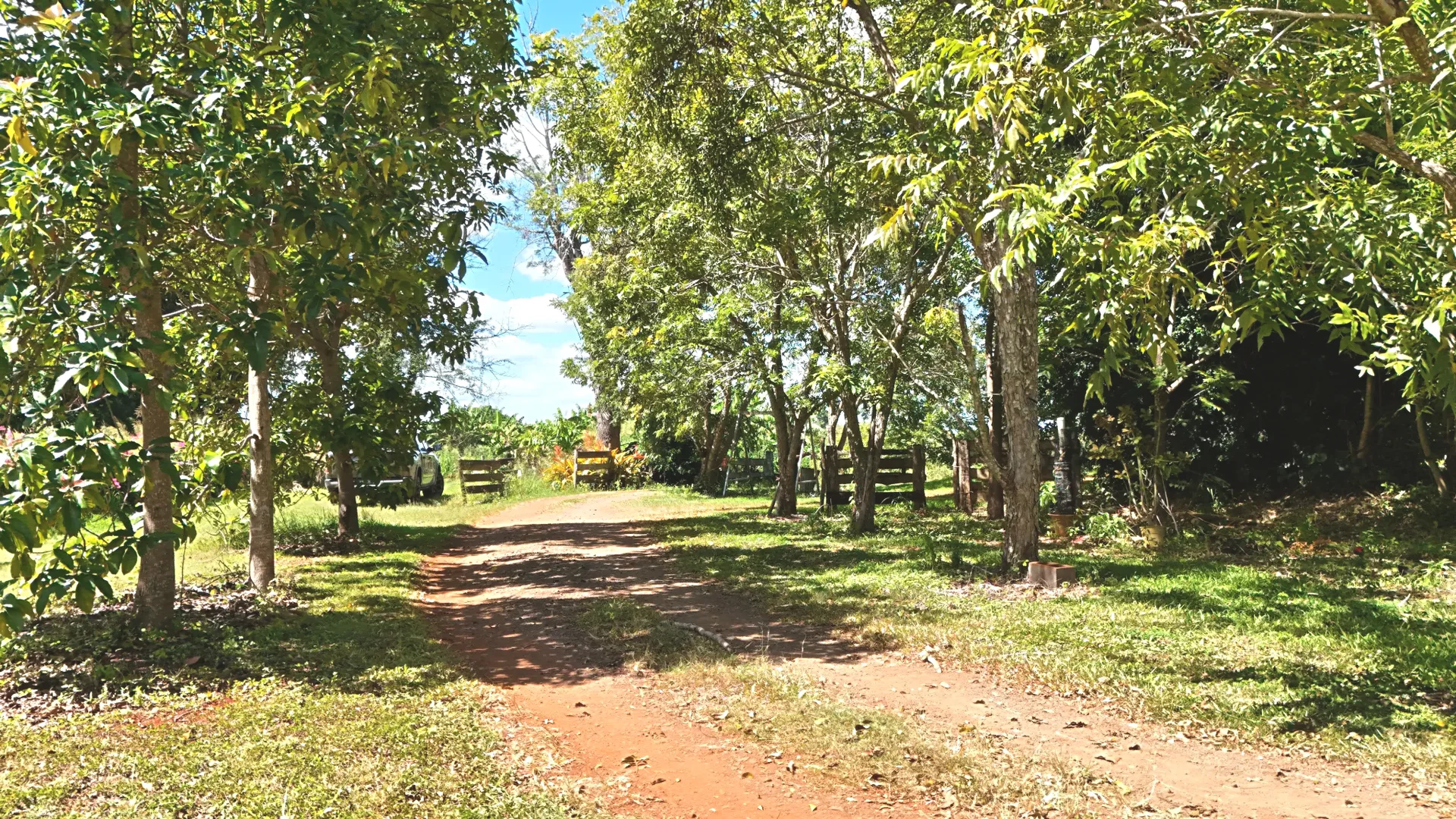 Additional image 3 of 49 South Isis Road, South Isis QLD 4660
