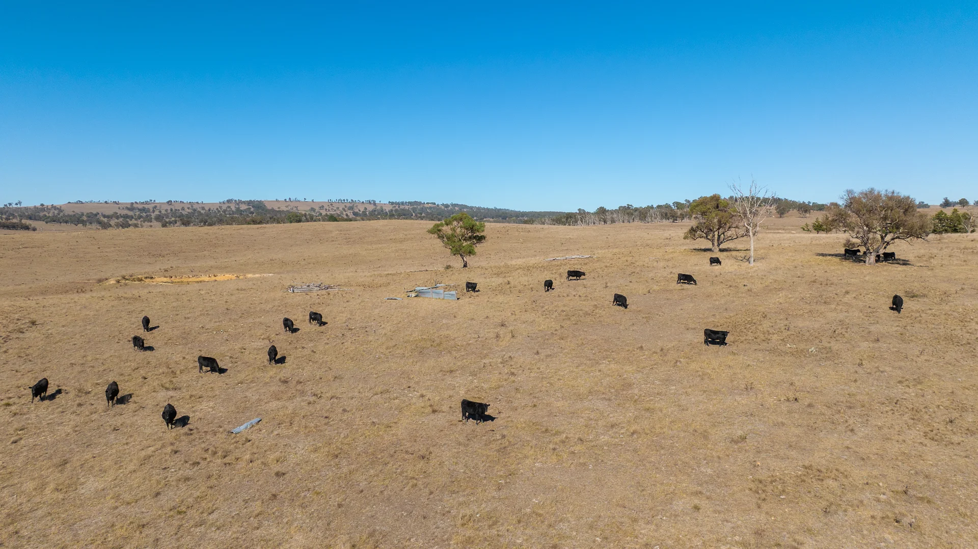 Additional image 17 of "Abermala Homestead" Enmore Road, Uralla NSW 2358