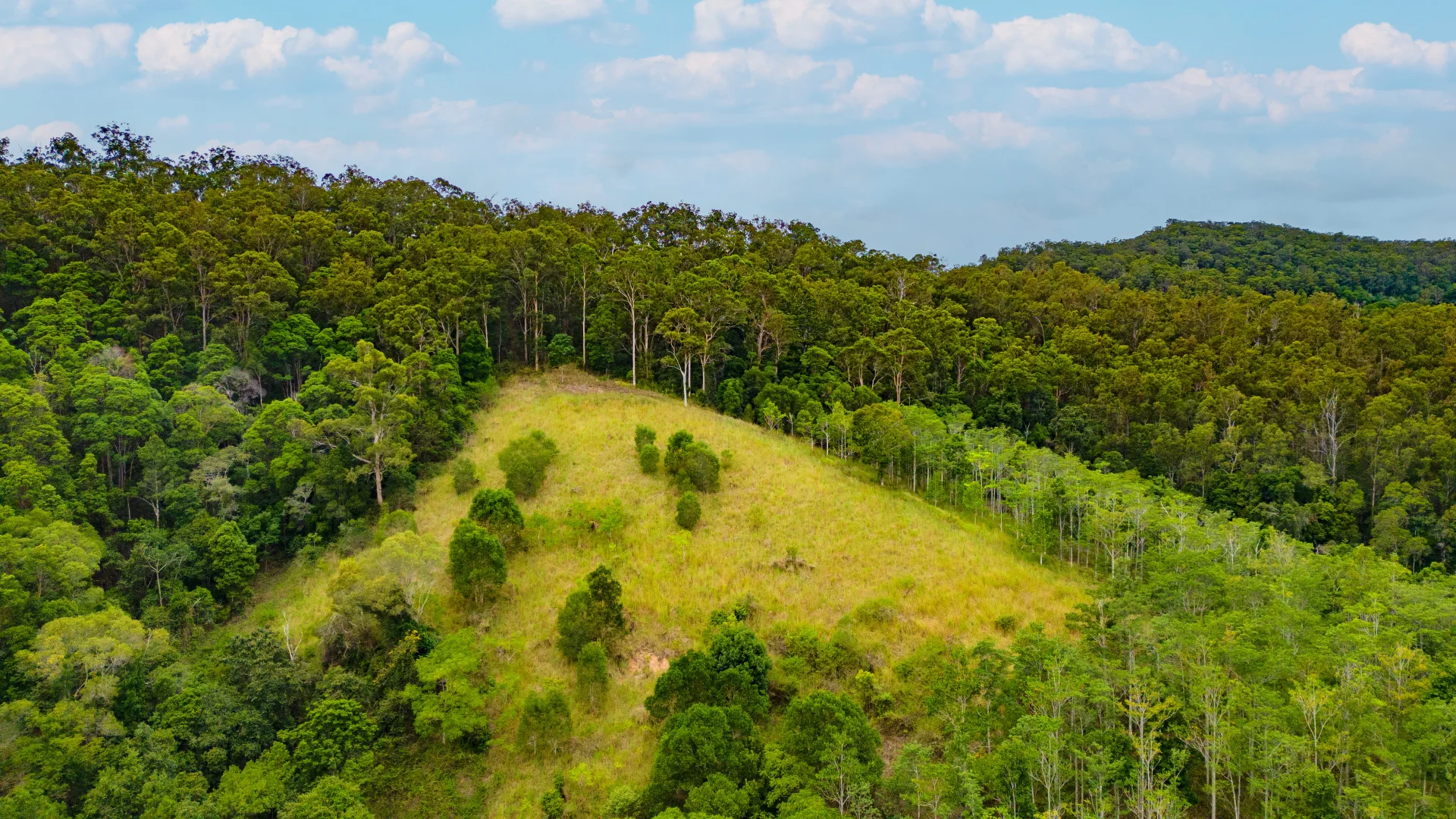 Additional image 4 of 261 Chinamans Creek Road, Tuchekoi QLD 4570