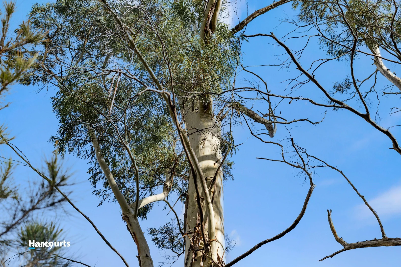 Additional image 7 of Lot 2 Scarrs Road, Garden Island Creek TAS 7112
