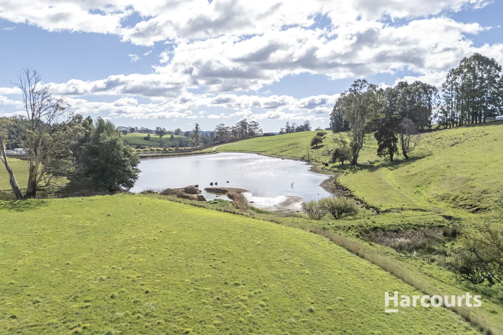 Additional image 2 of 214 Mathinna Plains Road, Ringarooma TAS 7263