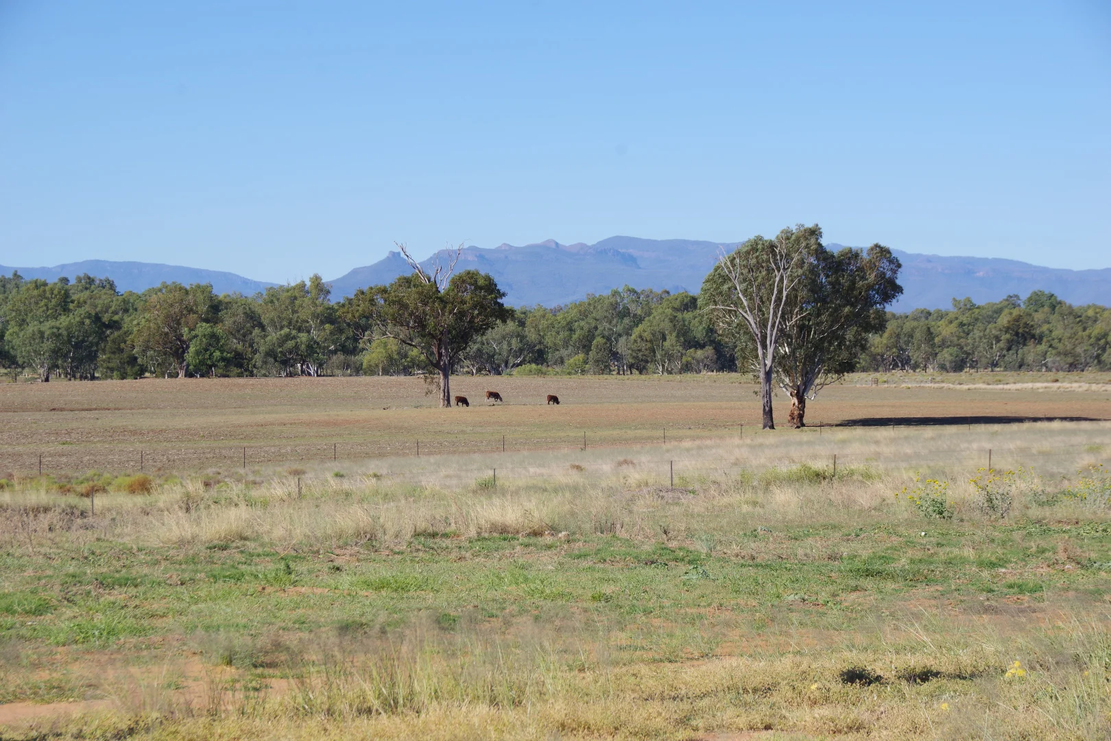 Additional image 37 of 18258 Kamilaroi Highway, Narrabri NSW 2390