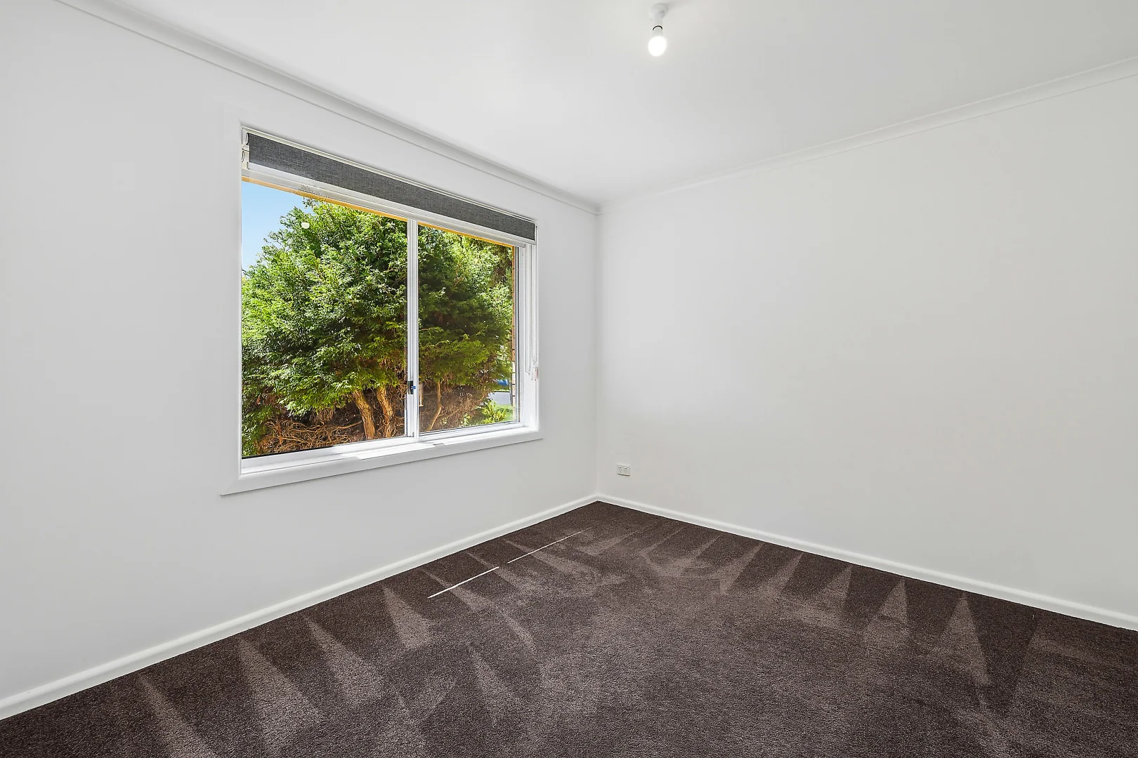 Additional image 11 of 8 Settlers Close, Orange NSW 2800