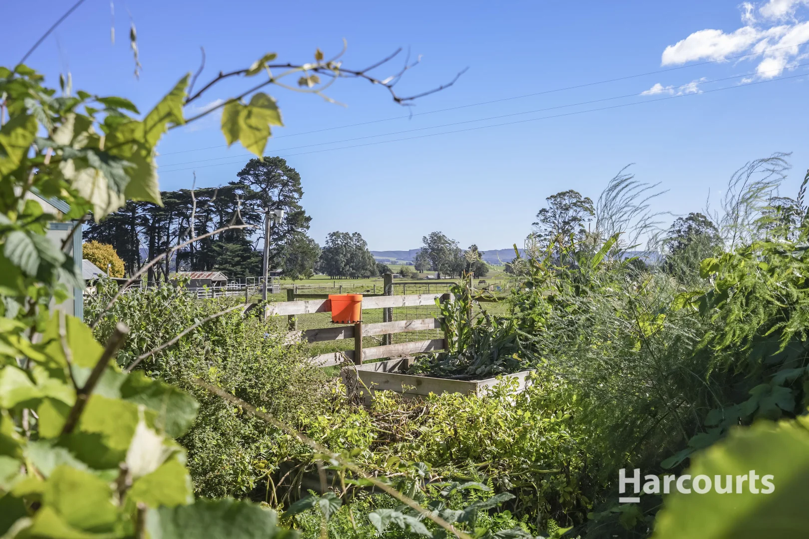 Additional image 44 of 214 Mathinna Plains Road, Ringarooma TAS 7263