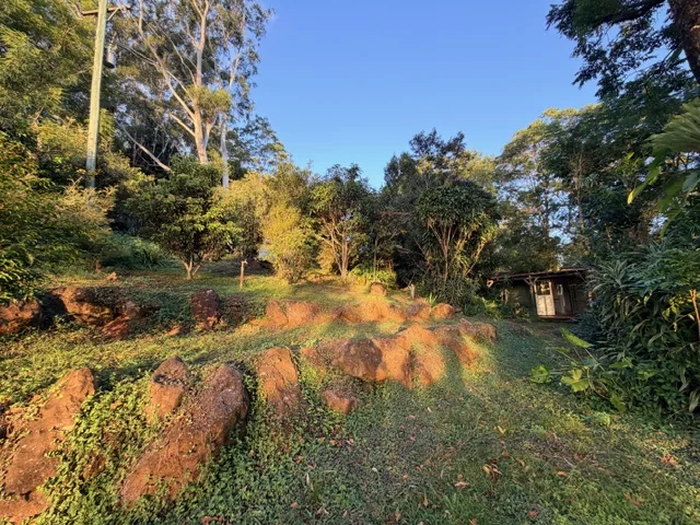 Additional image 33 of 2448 Dunoon Road, Rosebank NSW 2480