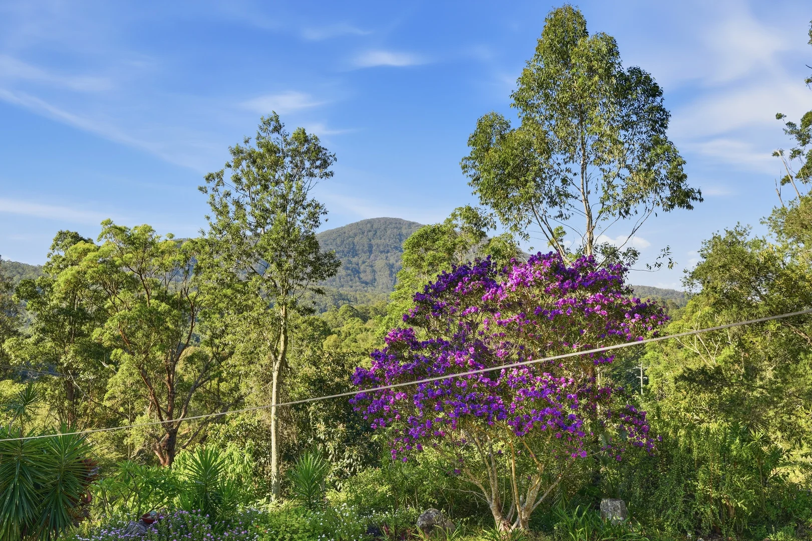 Additional image 27 of 587 Hannam Vale Road, Stewarts River NSW 2443