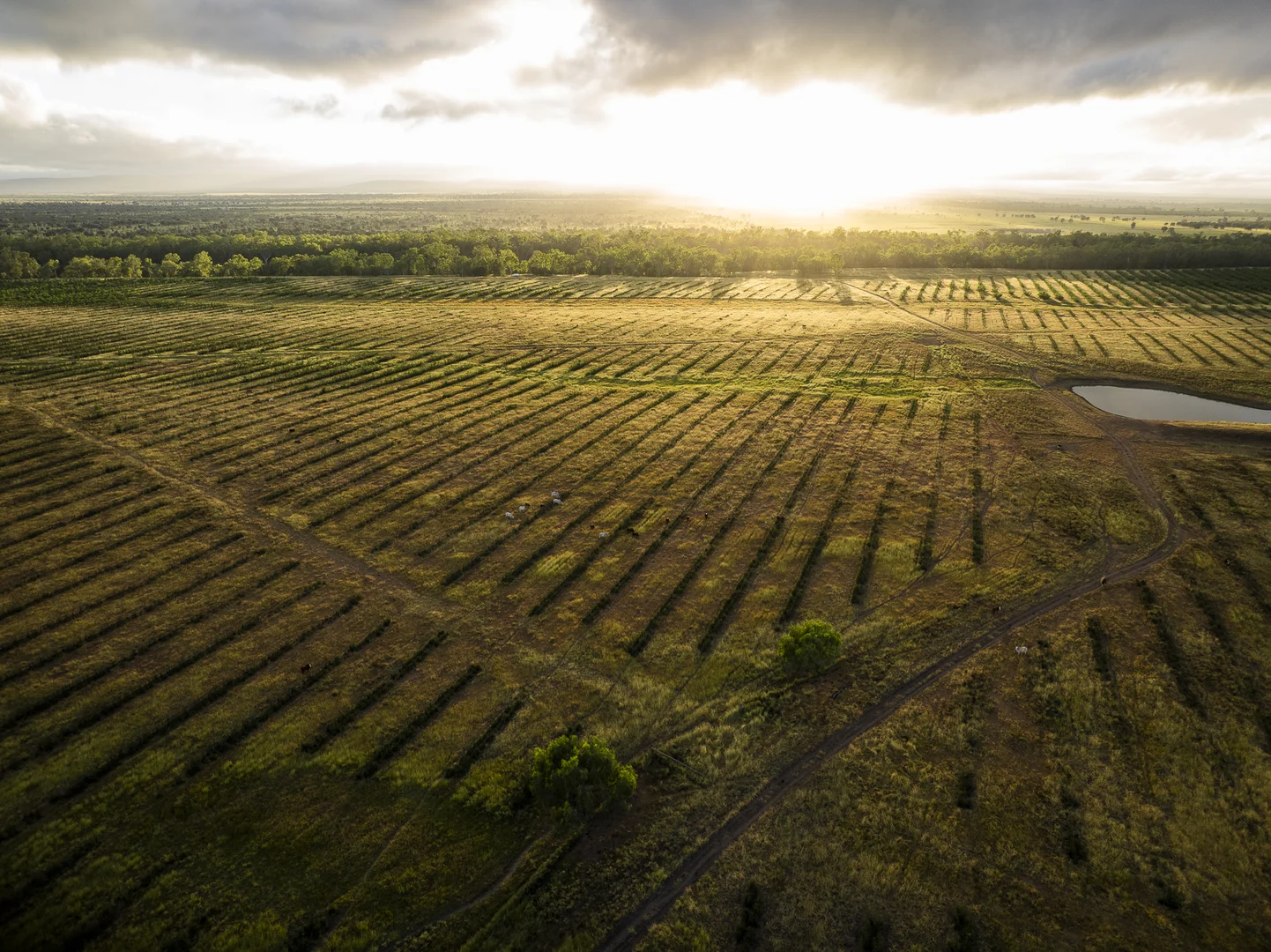Additional image 7 of 1727 Boombah Road, Mackenzie QLD 4702