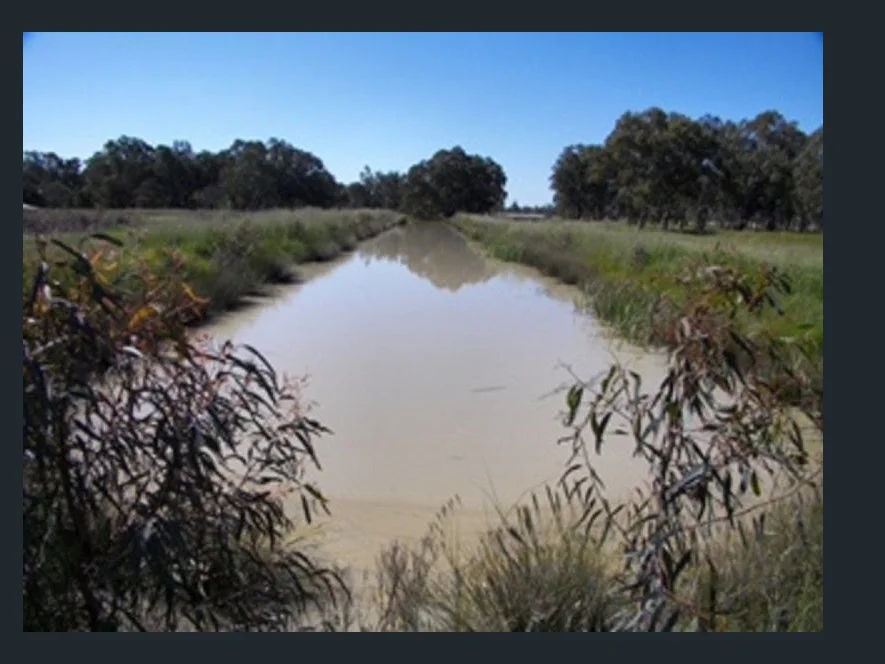 Additional image 21 of 478 Williams Road, Strathmerton VIC 3641