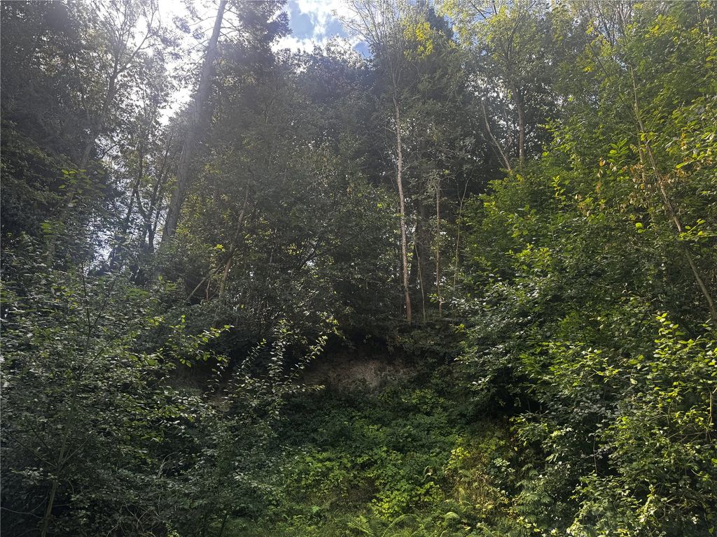 Additional image 9 of Land for saleBerriew, Welshpool, Powys SY21