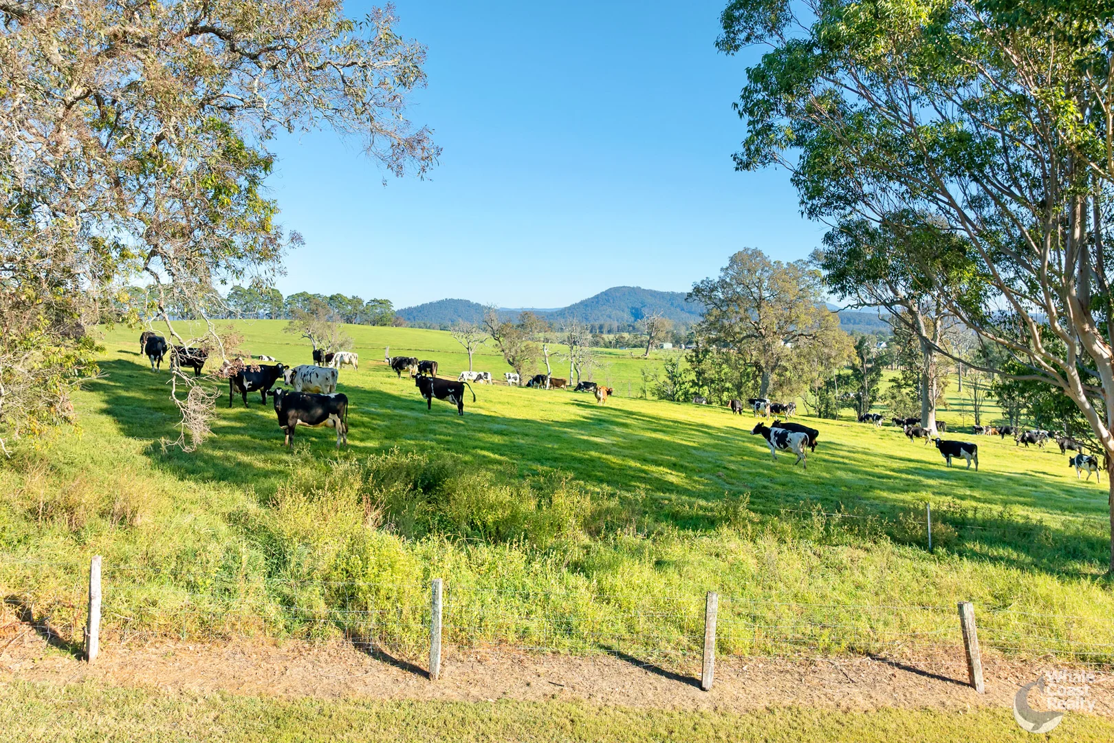 Additional image 28 of 352 Bodalla Park Drive, Bodalla NSW 2545