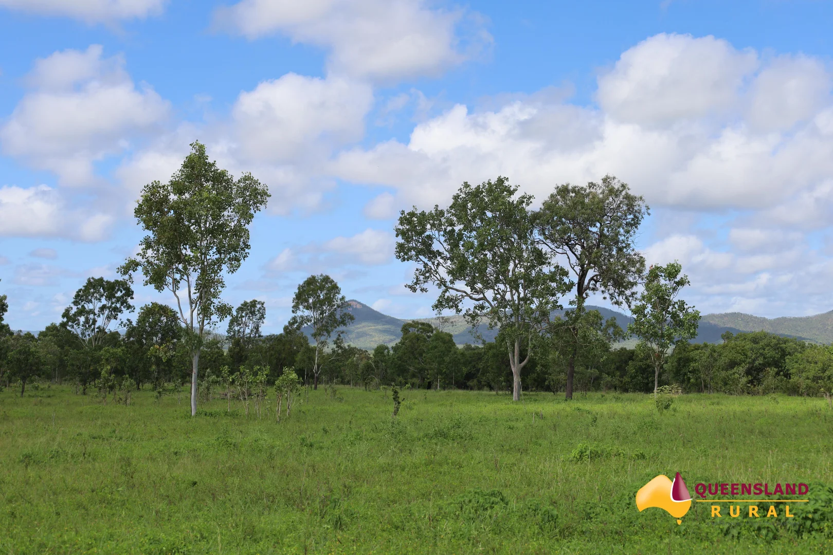 Reid River QLD 4816 photo 5