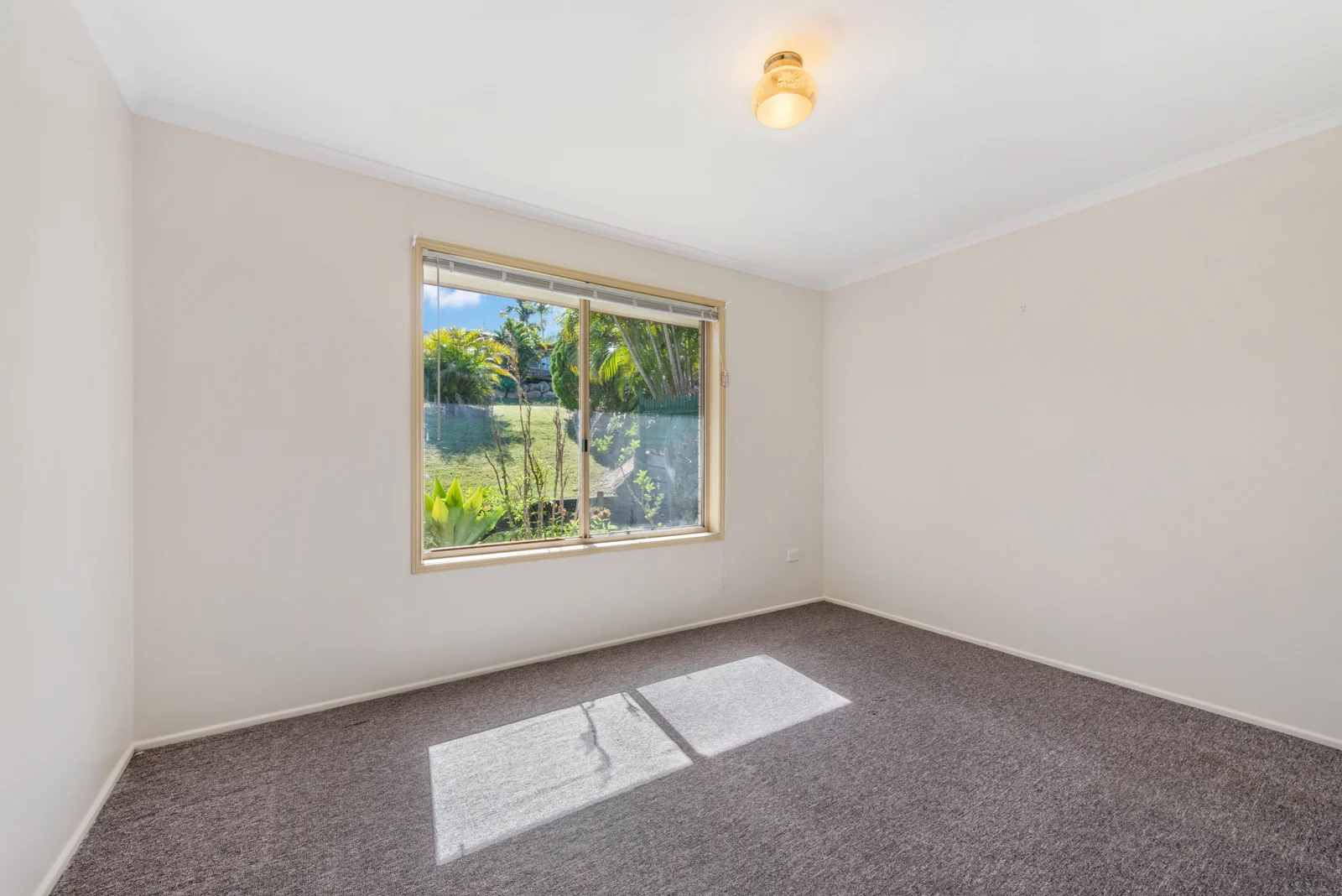 Additional image 8 of 35 Lorrikeet Street, Bundamba QLD 4304
