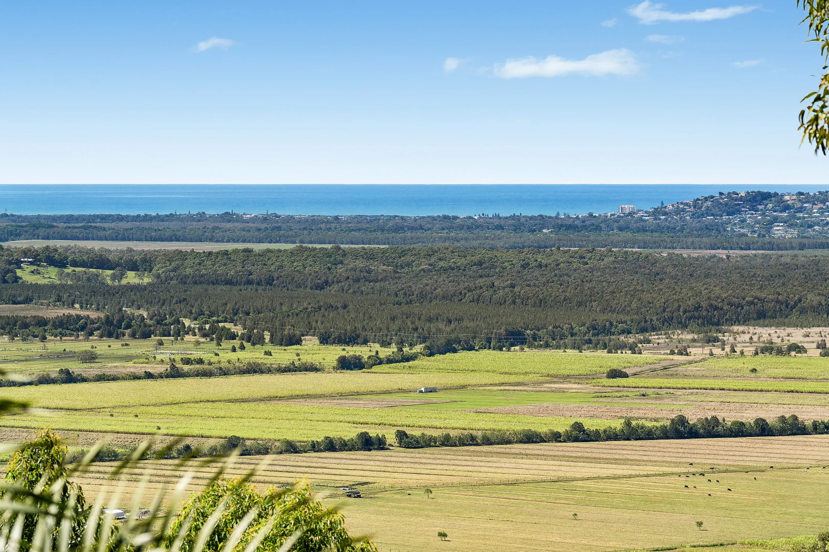 Additional image 7 of 175 Ocean Vista Drive, Maroochy River QLD 4561