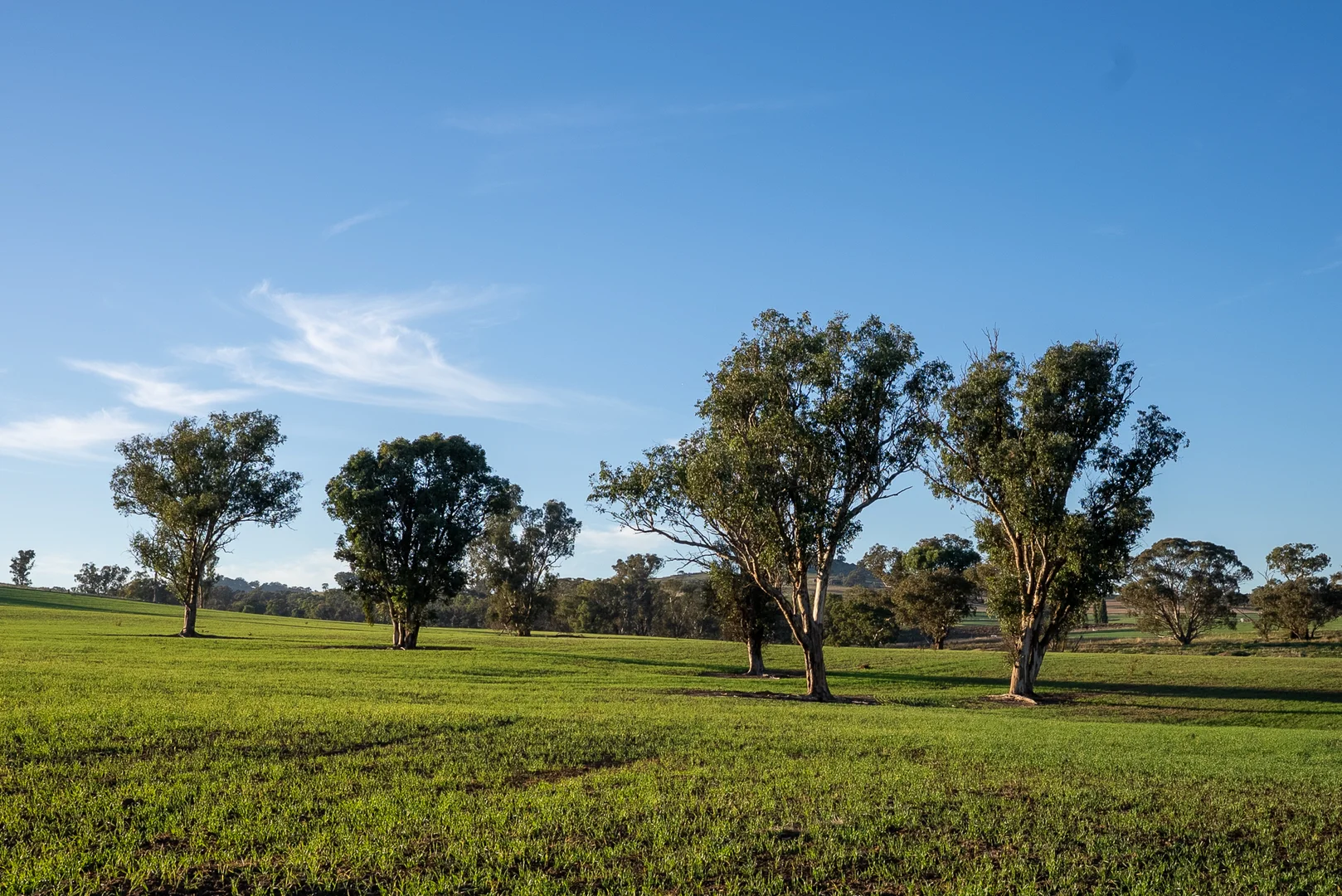Additional image 4 of 1629 Darby Falls Road, Cowra NSW 2794
