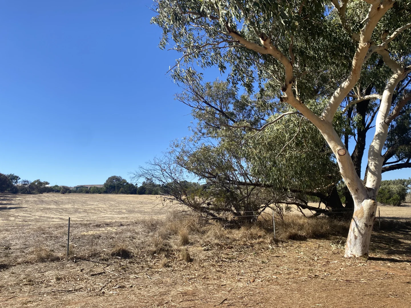 Additional image 8 of 23A Trant Road, Moresby WA 6530