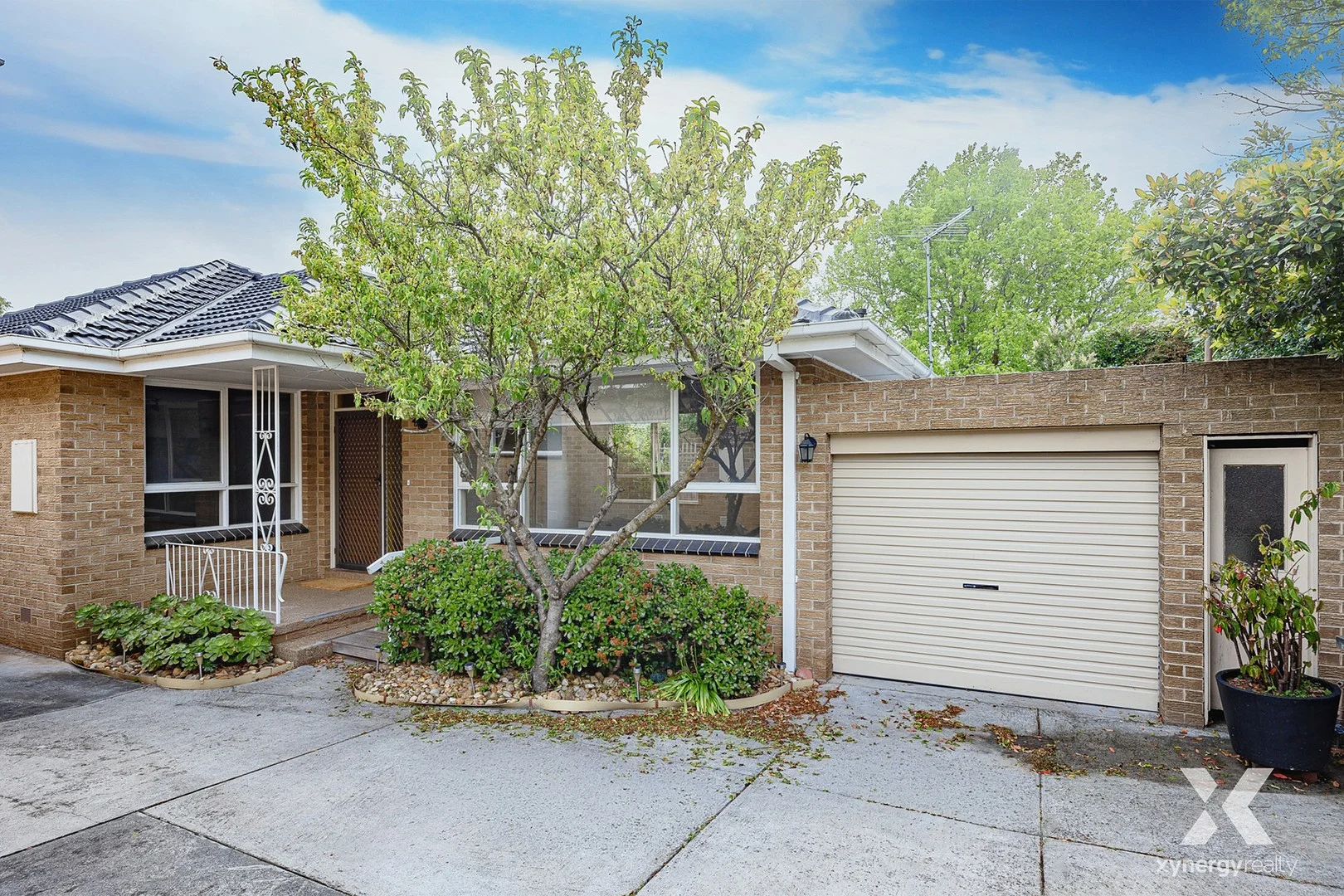 4/19 Tulip Grove, Cheltenham VIC 3192