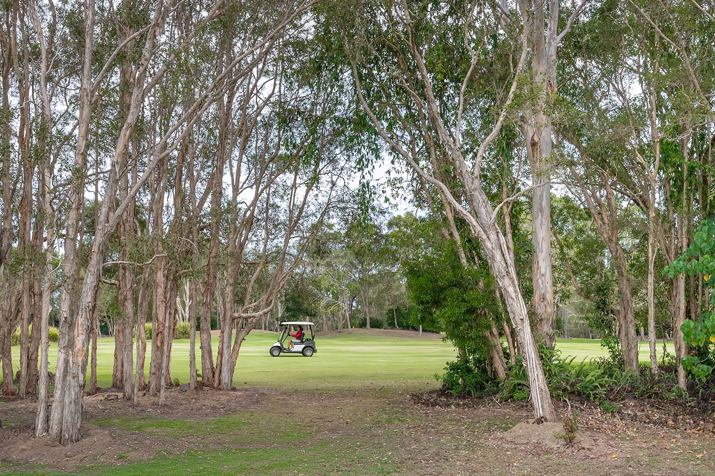 Additional image 36 of 18 Lytham Ct, Twin Waters QLD 4564