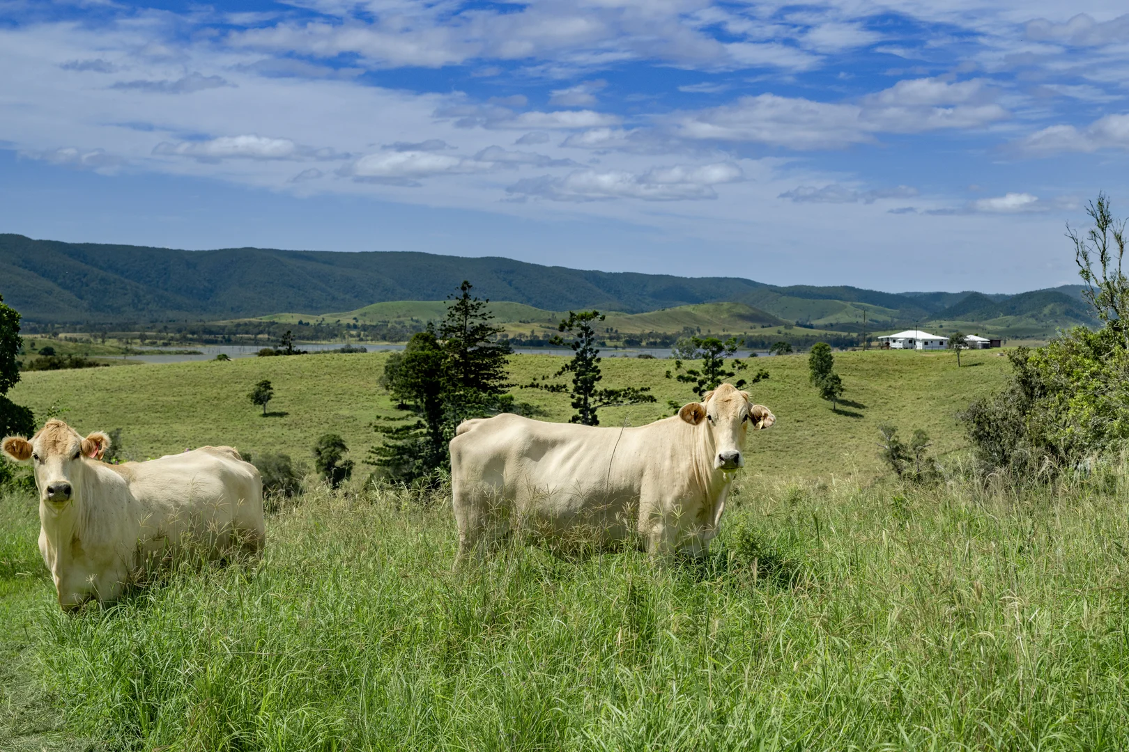 Additional image 7 of 4199 Esk Kilcoy Road, Hazeldean QLD 4515