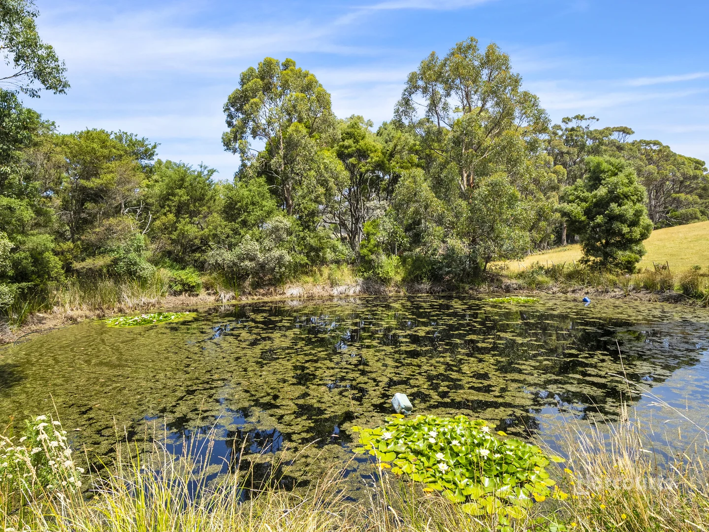 Additional image 20 of Lot 1/424 Safety Cove Road, Port Arthur TAS 7182